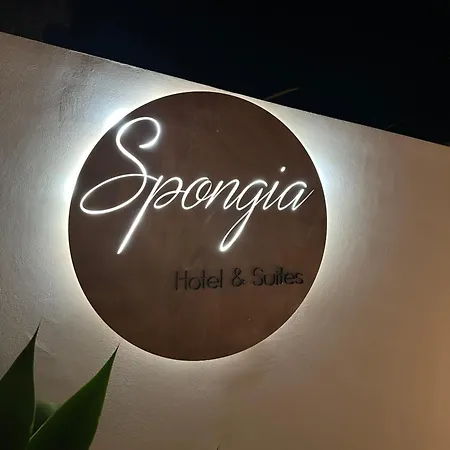 Spongia & 4*