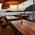 Spongia & 4*