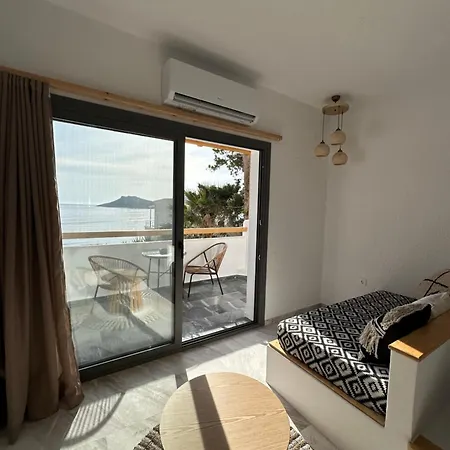 Spongia & Hotel Myrties