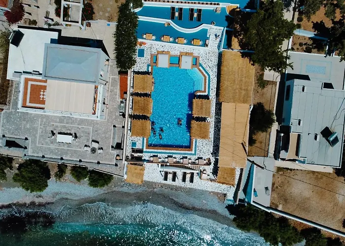 Spongia & 4* Myrties