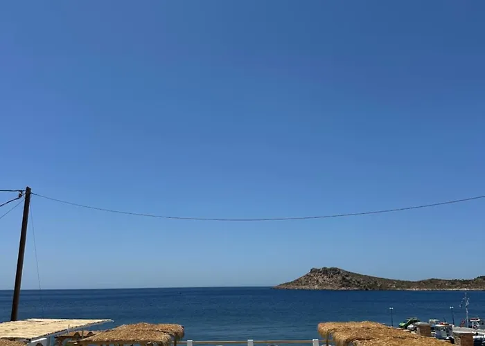 Spongia & Hotel Myrties